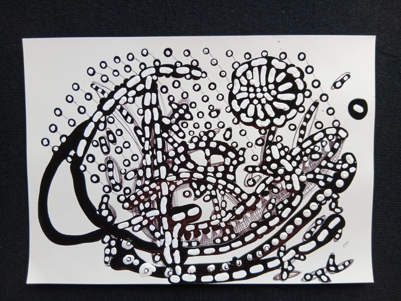 (c) 2025, Francisco Torres Moreno